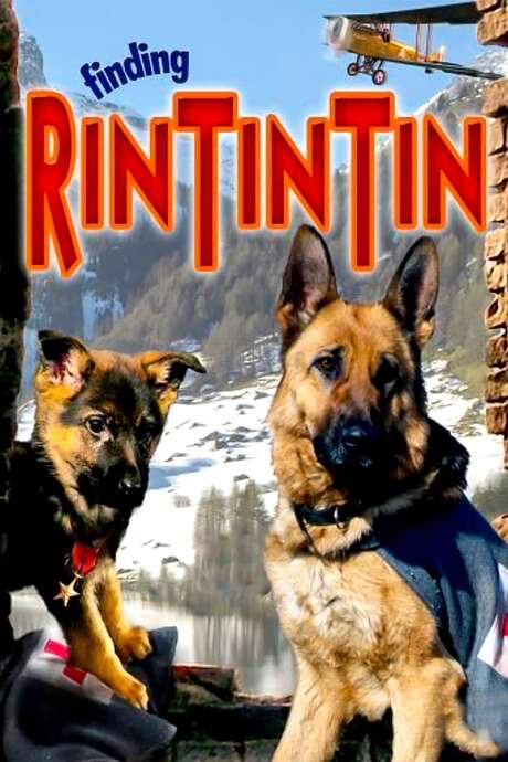 Finding Rin Tin Tin